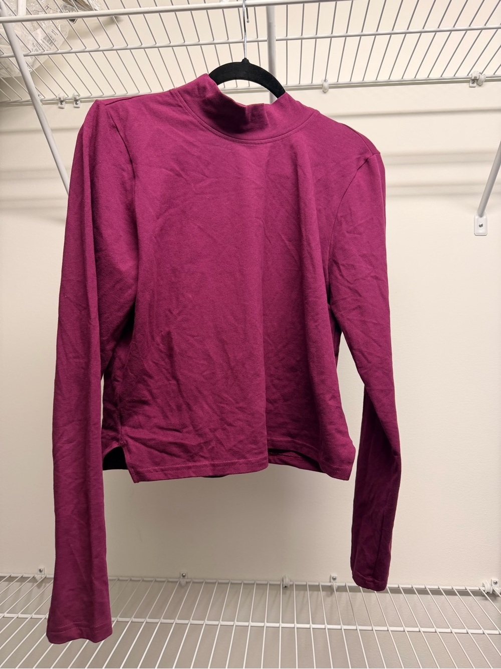The North Face Women's Long Sleeve Mock Neck Top - Berry